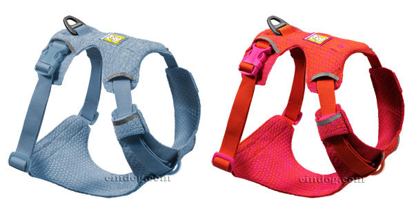 ���t�E�F�A �t�����g�����W �t���b�N�X�n�[�l�X