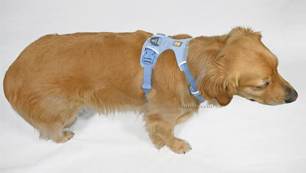 ���t�E�F�A �t�����g�����W �t���b�N�X�n�[�l�X ��^�� ���p��@�S�[���f�����g���[�o�[�@������M�T�C�Y���p