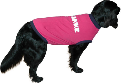 カラーオーダー犬服 犬の服 大型犬 オーダーメイド ハンドメイドウェア 