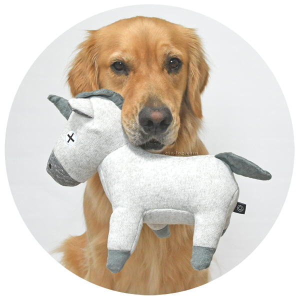 FADvbVgCiz[X@n@߁@x@