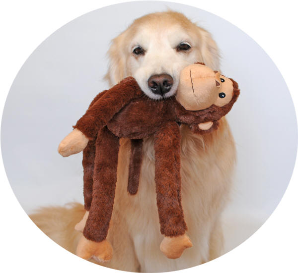 スウィンギンサファリ 大型犬でも遊べるサルとヒョウのぬいぐるみおもちゃ 犬のぬいぐるみ おもちゃ 大型犬「あいんどっく」