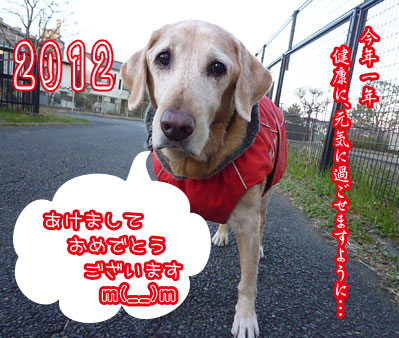 20120106.jpg