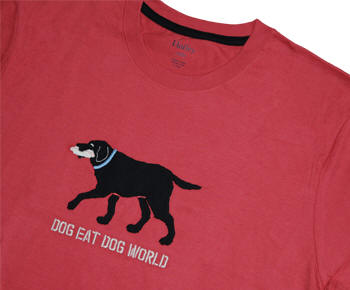 nbgCTVciDog Eat Dog World