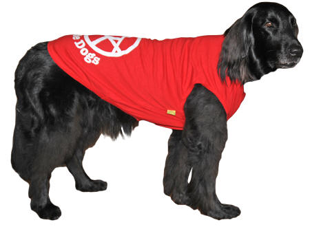 盲導犬支援チャリティーTシャツ