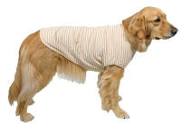 �I�[�K�j�b�NT�V���c�@�S�[���f�����g���[�o�[�����Ȏ���