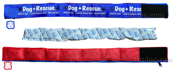 Dog +Rescue N[o_i@₦Ђ@^p
