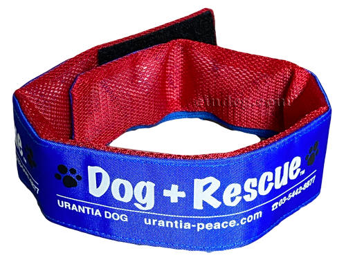 Dog +Rescue N[o_i@₦Ђ@^p