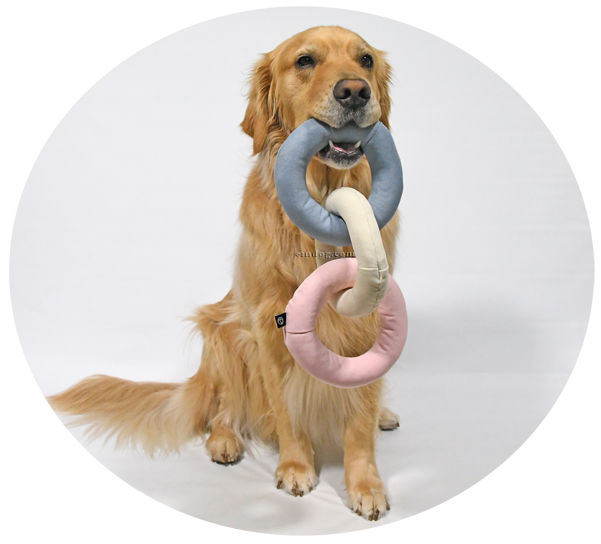 FAD�o���X�e�B�b�N�g�C�����O�`�F�[���@��^���@�S�[���f�����g���[�o�[�@�����ȁ@�g�p��