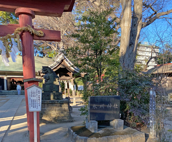 浦和　本太氷川神社さま2026年　