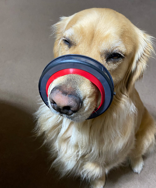 ダイソン リングラバー