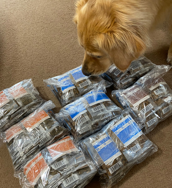 ゴールデンレトリーバーあすな試食 カリカリフード