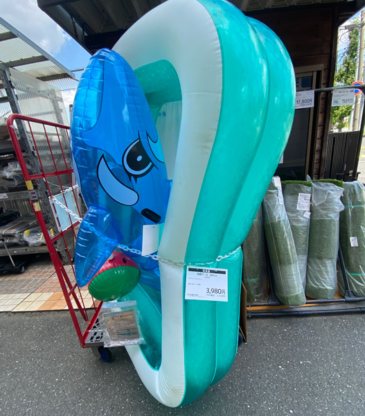 プール