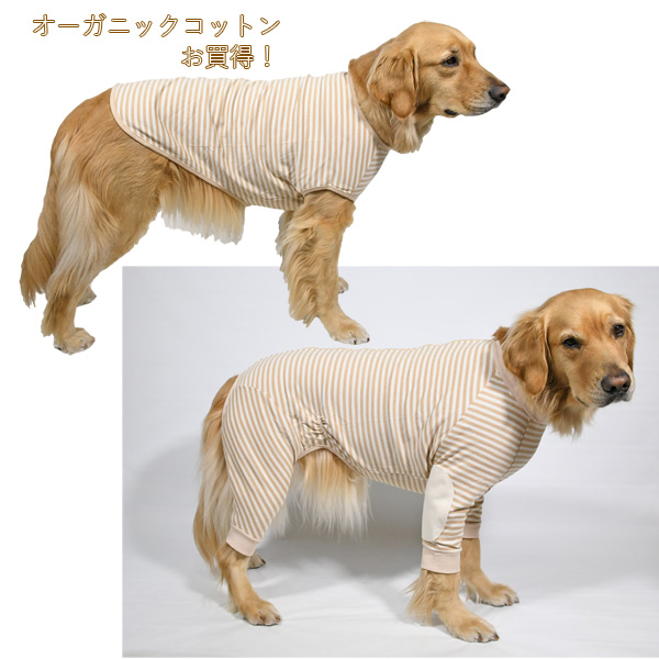 オーガニックコットン　Tシャツ　オーバーオール、大型犬　ラブラドールやゴールデンレトリーバー、フラットコーテッドレトリーバー　サイズ　お買得品　50%OFF